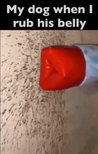 He's got a little bit of Mississippi leg hound in him