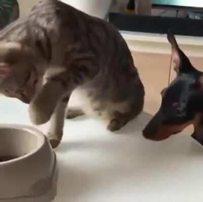 Alright, you may have just one.