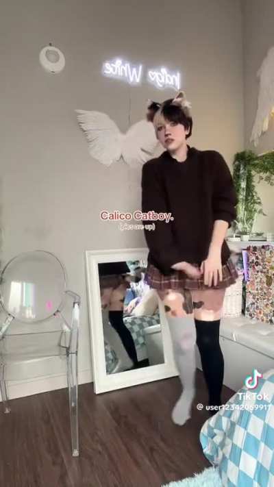 Calico Catboy 