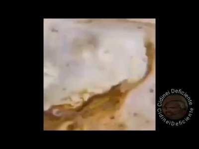 Luangameplay666 - Video #6645