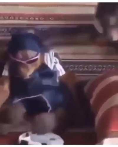 Happy monke > sad monke