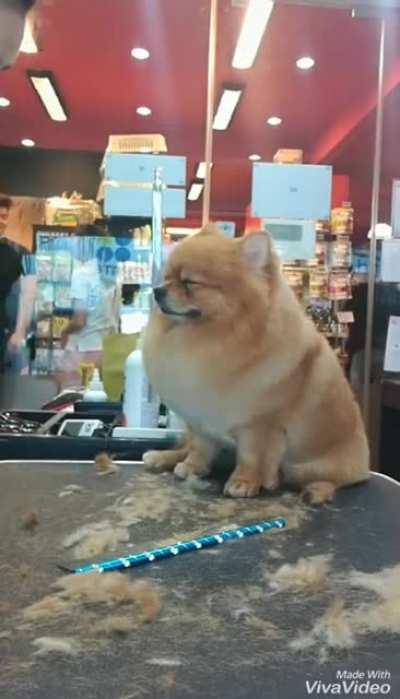 Going...going...gone!