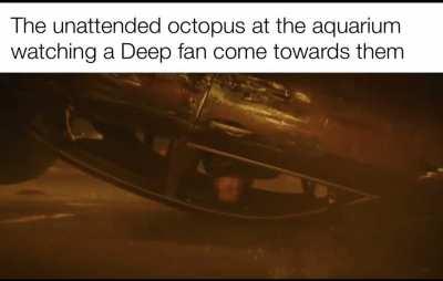 octopussy 😳
