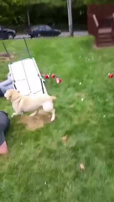 That took too many attempts