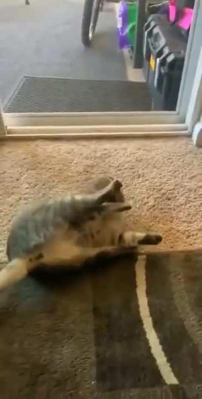 How to disable a violent predator 