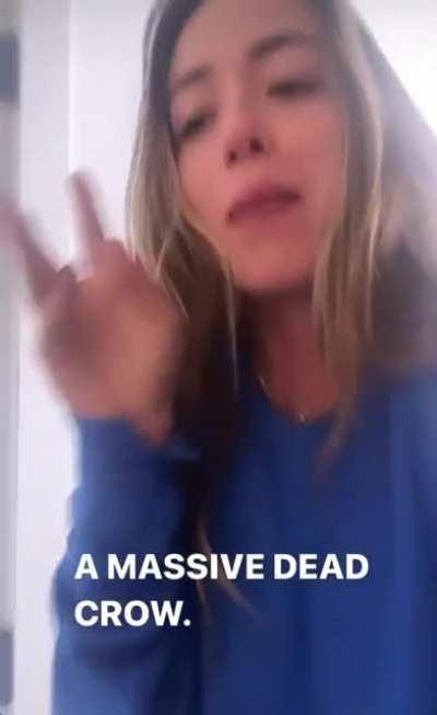 Remember that time she found a dead bird in her living room?