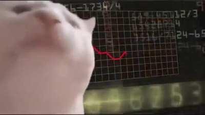 Everyone in this subreddit be like