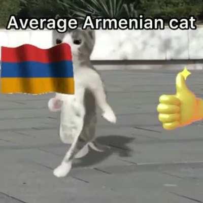 🇦🇲 🇦🇲 🇦🇲
