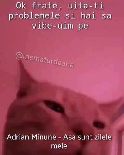 Haideti fratilor sa vibe-uim pe așa sunt zilele mele