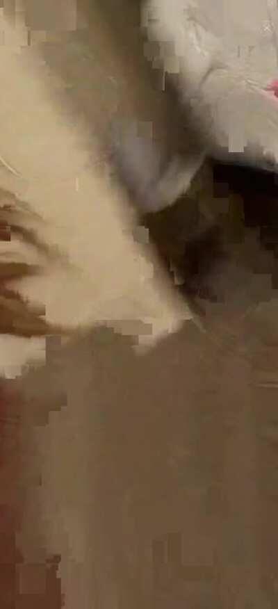 Alahna_ly on coco enjoy the video guys 😊