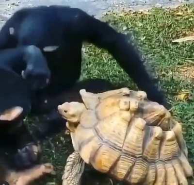 Sharing is caring. You give your best friend a bite of your snack.