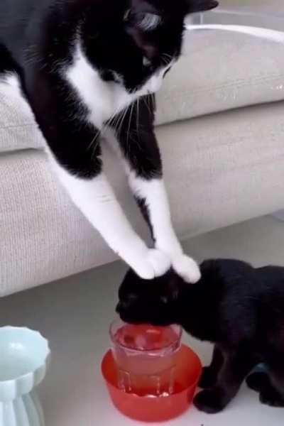 Water IS good for you