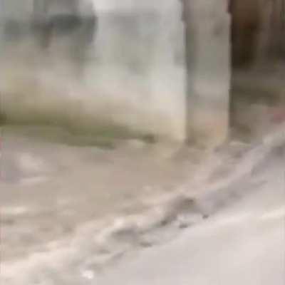 🤑🤑🤑🤑🤑🤑