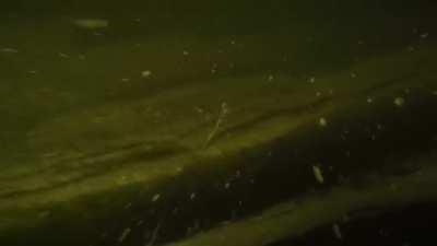 Dropping my GoPro in the bottom of a lake...