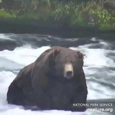 🧼 Bath time! 🧼