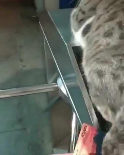 Do not disturb me with your card! Thanks