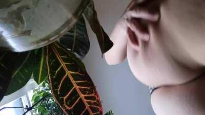 Really love your peaches, wanna shake your tree! 🍑