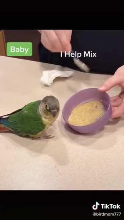 Watch until the end... too cute! (And yes I know I'm going to get the 