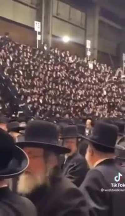 Free all my guys, FREE PALESTINE ‼️‼️