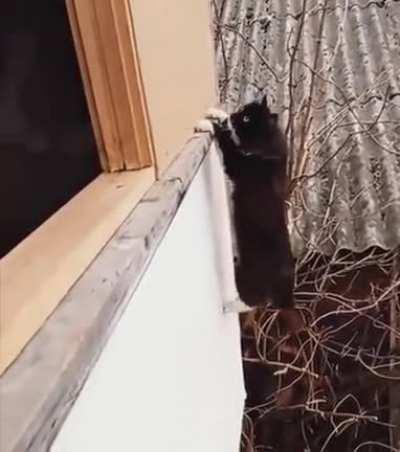 nIJnA AsSassin MURDeRS EVERyonE