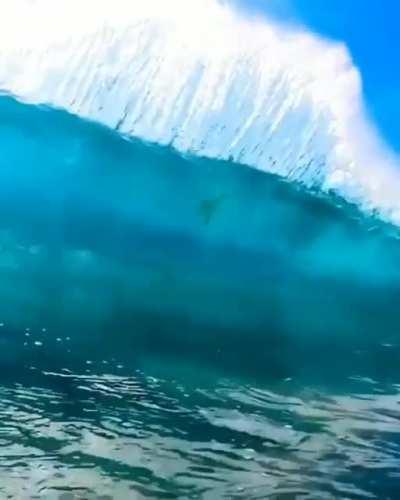 Nice waves Bruh