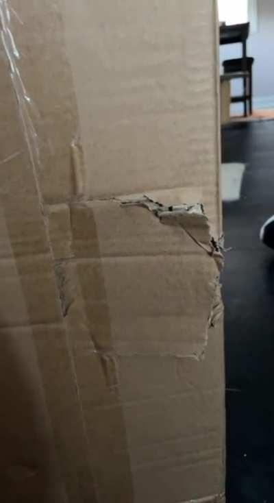 Not in the mood 😂😾