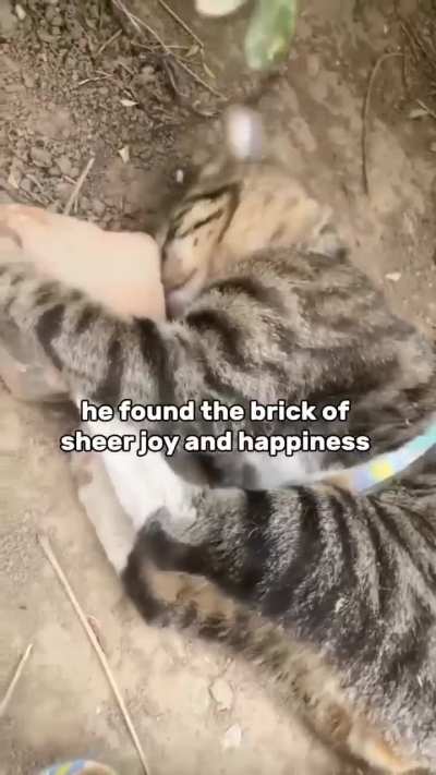 Where does one find such brick?