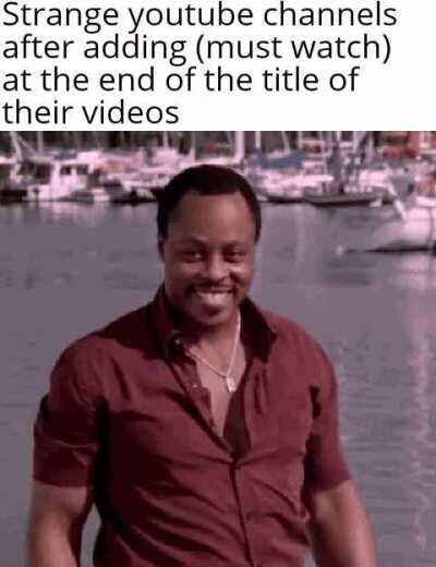 Let the views roll in