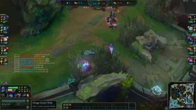 Gold Macro in a Nutshell - One of the Biggest Baits of My Career