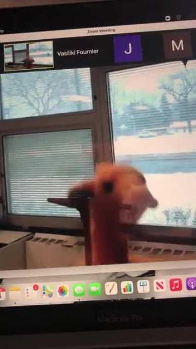 This is the type of thing my teacher does every day lol