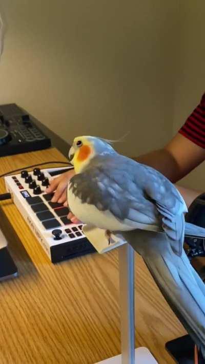 Yums said , and i quote this , 