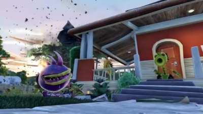 Average day in the backyard