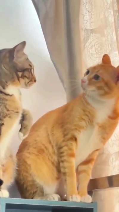 Yo....what are you doing?