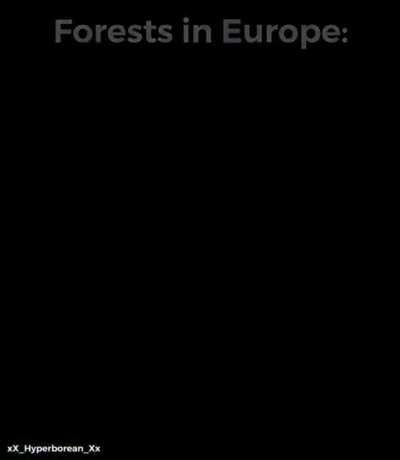 Forest_rule