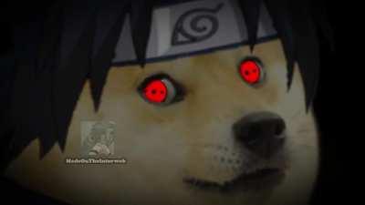 Another Dogeruto chap lads.