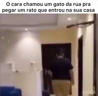 Tom & Jerry - LiveAction 4K