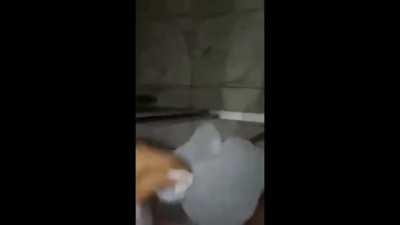 Final triste pro Ratão :(