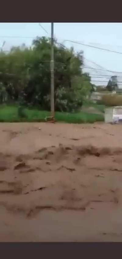 El Chacho delivering empanadas against all odds