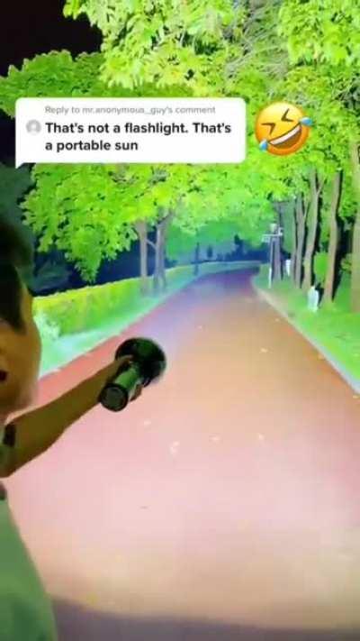 Think about getting a Maglite ML300LE, do you think it will be this bright?