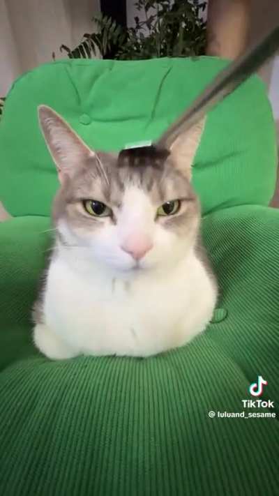 Clueless wunk has mind erased