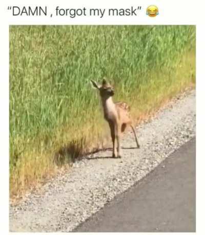 Me, whenever I go out!