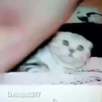 noooooo, vio demasiado