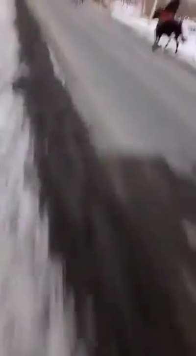 哈萨克斯坦牧民骑马携带枪支前往市区支援示威者