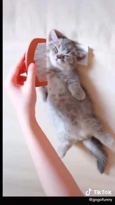 Brushy brushy spa treatment