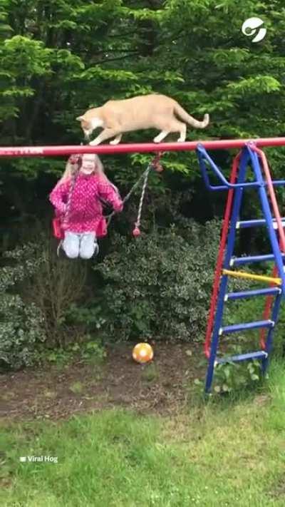 Braincell disconnected mid-performance for gymnast catto
