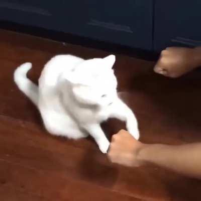 To choose the correct hand 