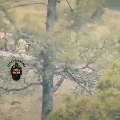 Indian Snipers Targeting Pakistani Army Regulars @loc