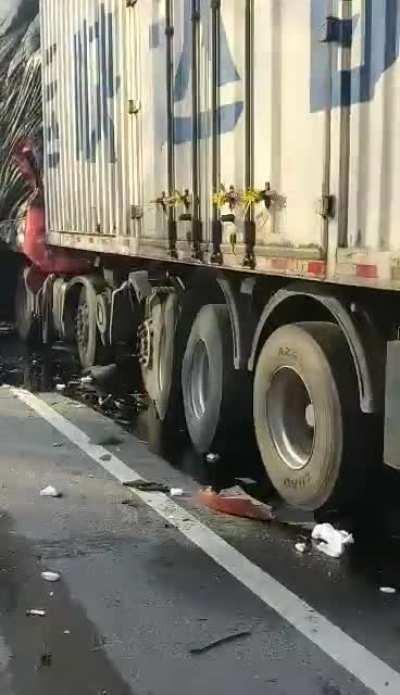 I've never seen anything like this