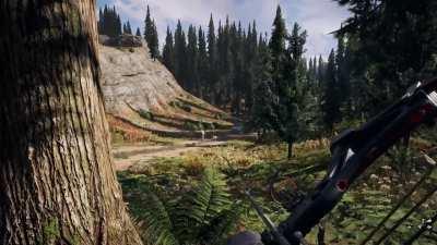 The Far Cry 5 Experience