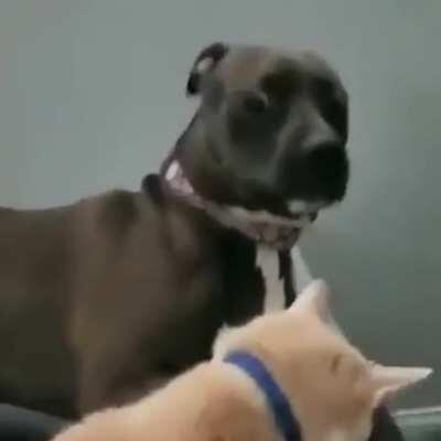 One Punch Is All It Took!